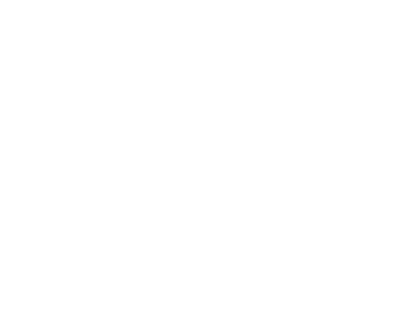 Logo de Ethnisnack